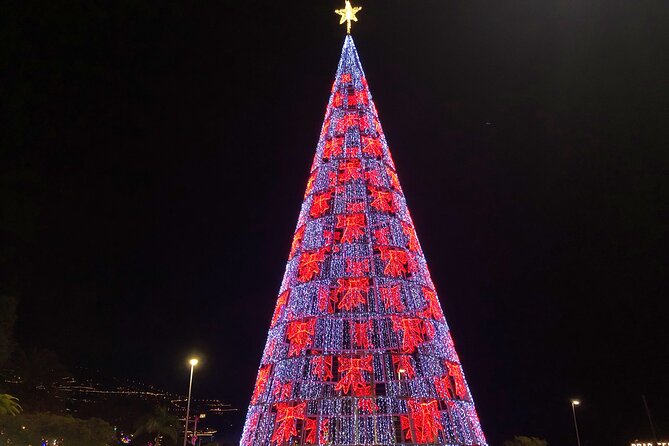 Private Funchal Christmas Light Tour - Key Points
