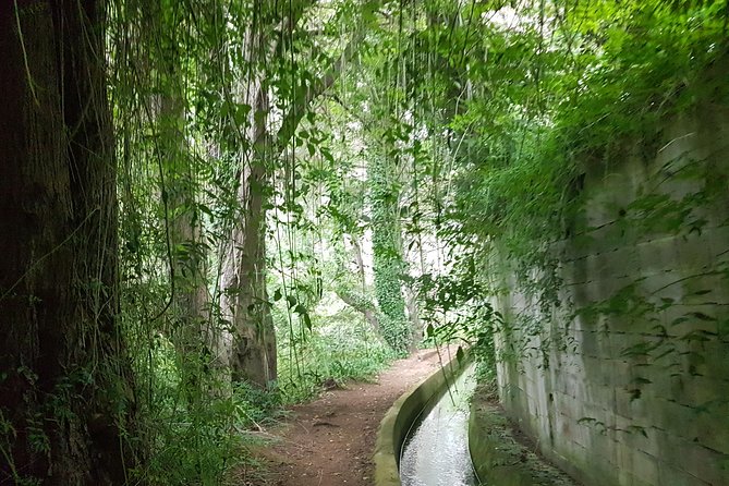 Private Guided Walk Levada Monte to Palheiro Ferreiro - Key Points