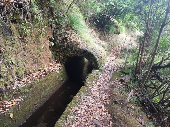 Private Guided Walk Levada Ribeira Da Janela - Key Points