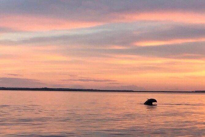 Private Hilton Head Sunset Dolphin Tour - Key Points