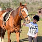 private horseback riding and family time in konavle region Private Horseback Riding and Family Time in Konavle Region