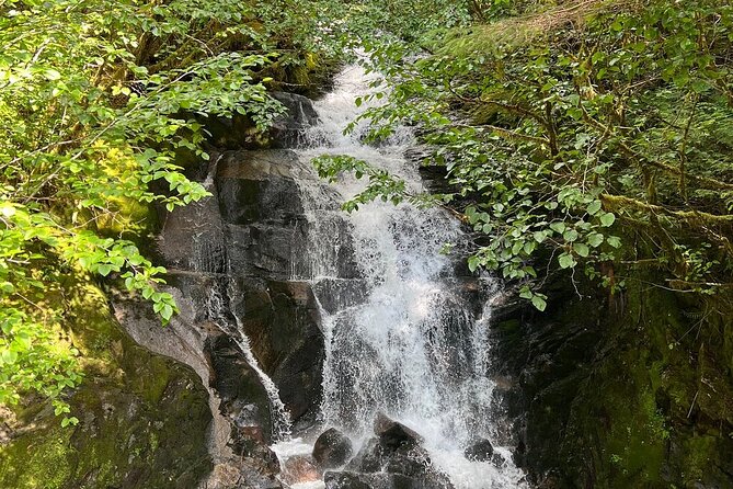 Private Ketchikan City Totems & Wildlife Van Tour - Key Points