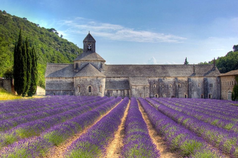 Private Lavender of Provence Tour - Key Points