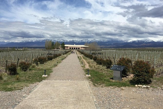 Private Lujan Wine Tour With Gourmet Wine-Paired Lunch From Mendoza - Key Points