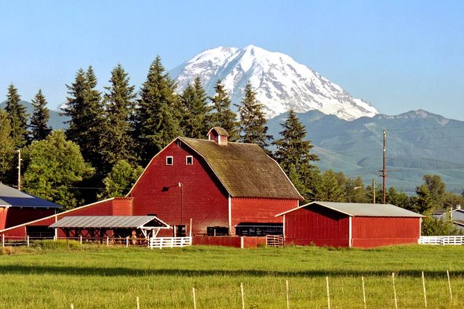 Private Mt Rainier National Park Day Trip From Seattle - Tour Details