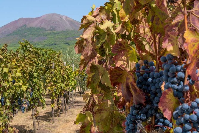 Private Mt Vesuvius and Pompeii With Lunch and Wine Farm Experience - Key Points