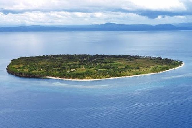 Private Pamilacan Island With Lunch From Tagbilaran City - Key Points