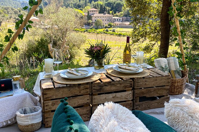 Private Picnic Experience With Winery Tour & Tasting in Mallorca - Key Points