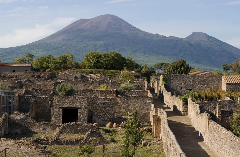 Private Pompeii & Vesuvius Wine Tasting Tour - Key Points