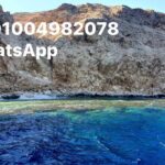 private snorkeling trip boatstrips redsea hurghada Private Snorkeling Trip -Boatstrips Redsea Hurghada