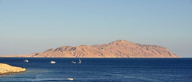 Private Speed Boat Snorkeling Trip to Tiran Island - Key Points