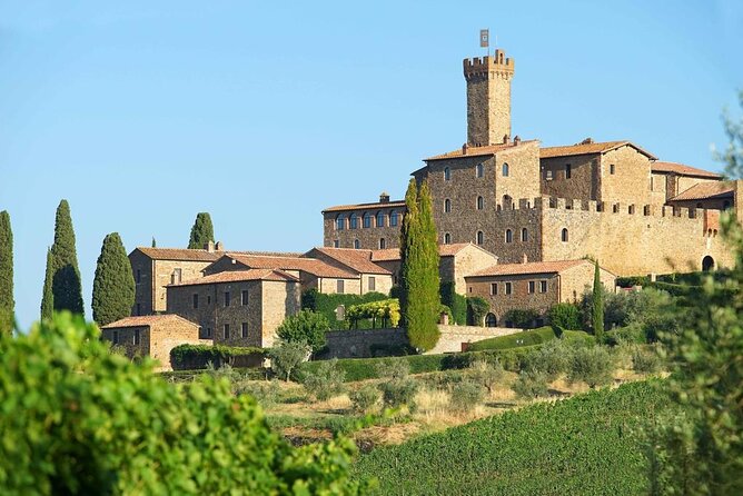 Private Tour and Wine Tasting at Castle-Wineries in Chianti From Florence
