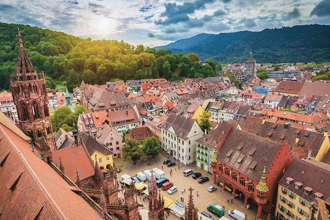 Private Tour Discover Freiburg Black Forest From Colmar - Key Points
