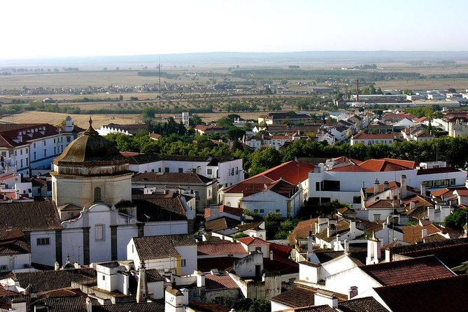 Private Tour in Évora With Alentejo Wines and Cork - Key Points