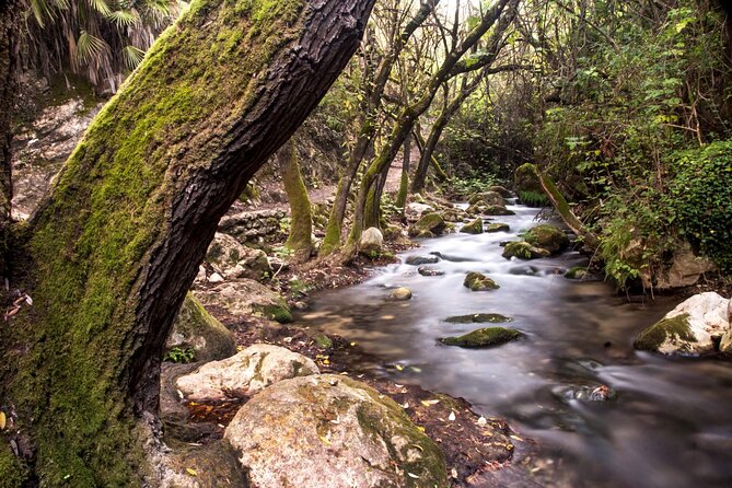 Private Tour to Arcos De La Frontera, El Bosque and Ubrique From Cadiz - Key Points