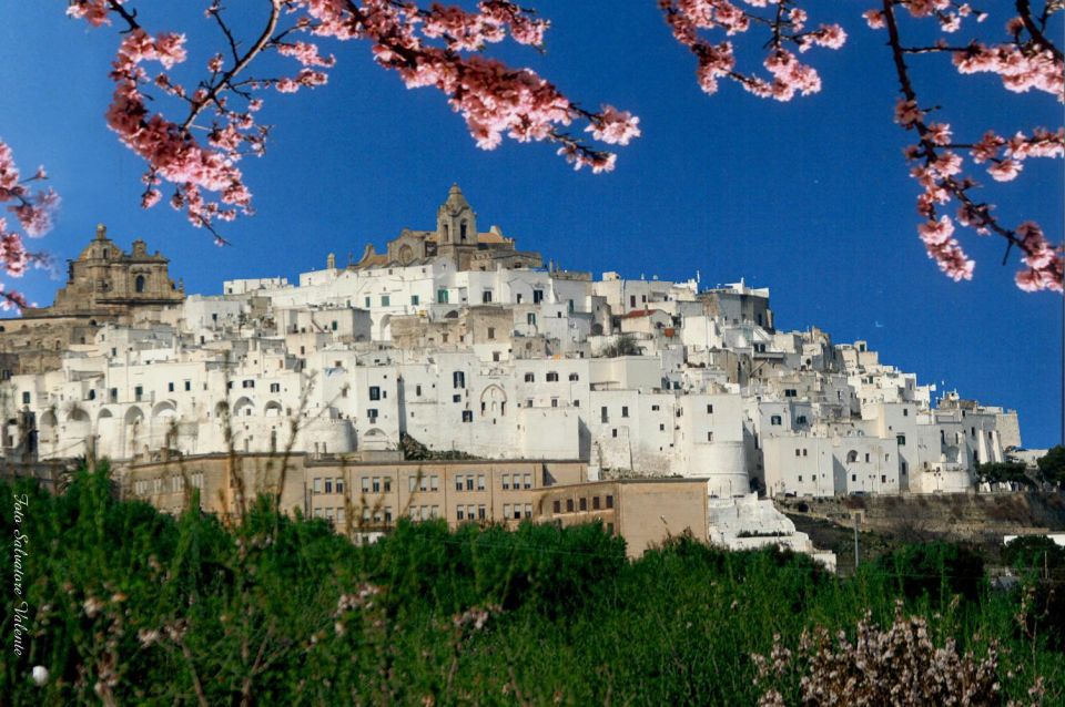 Private Tour to Ostuni, Alberobello, Locorotondo & Winery - Key Points