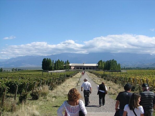 Private Tour Vinicola Salentein La Azul With Lunch. Transport - Key Points