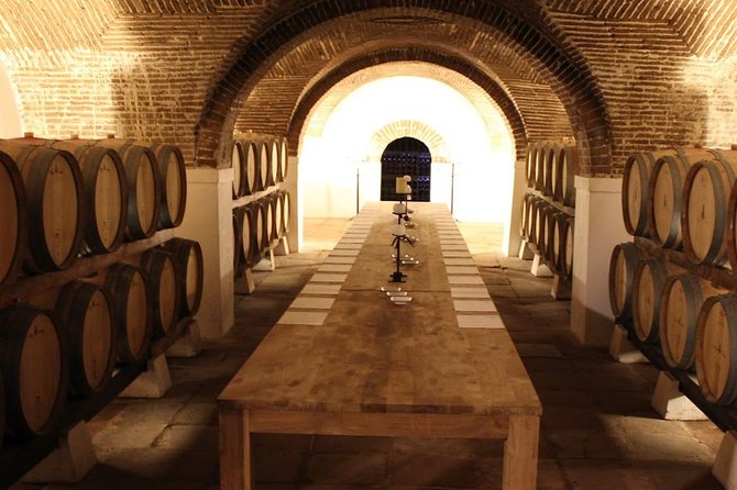 Private Tour Wine (region Évora) Wine Tasting - Key Points