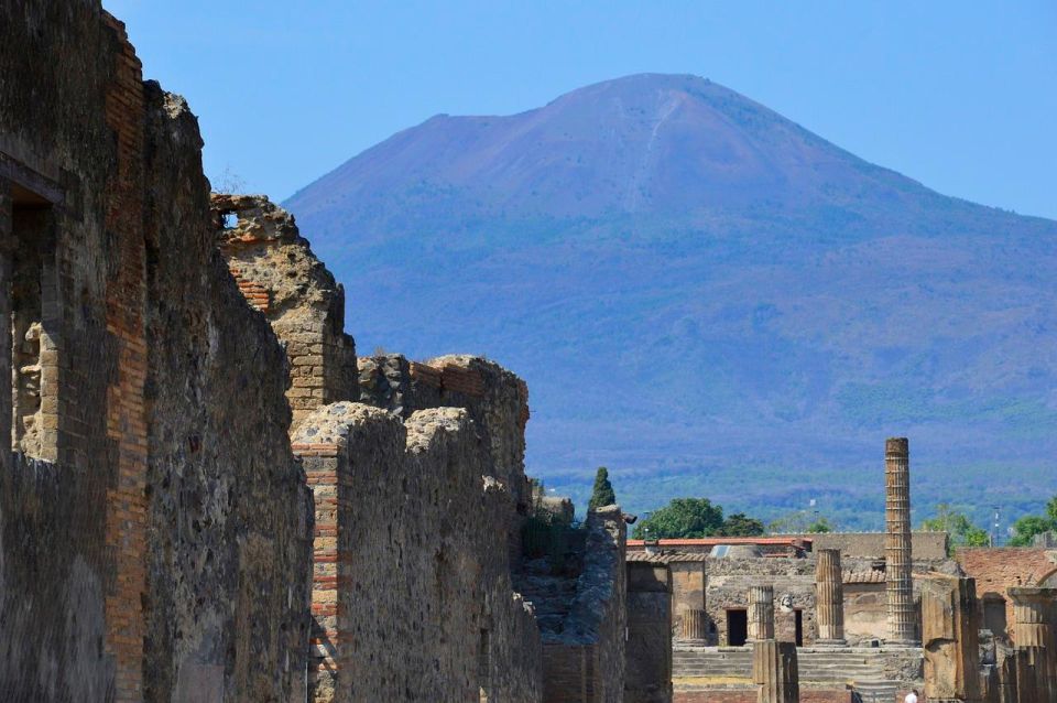 Private Tour:Pompeii,Herculaneum,Mount Vesuvius From Naples - Key Points