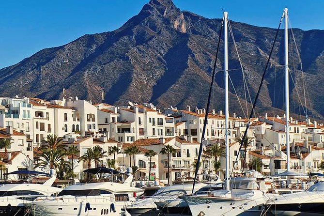 Private Tours From Malaga to Marbella and Puerto Banus for up to 8 Persons - Key Points