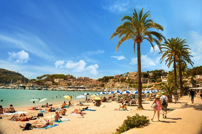Private Transfer From Alcudia to Mallorca Airport (Pmi) - Key Points