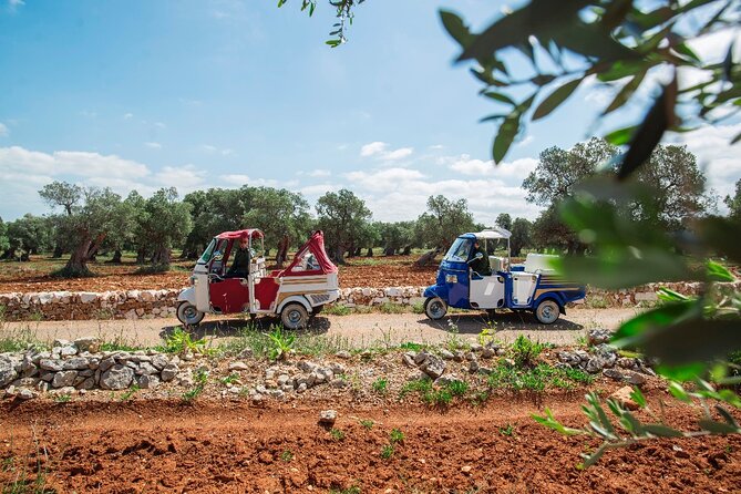 Private Tuk Tuk Tour of the Millenary Olive Groves in Ostuni - Key Points