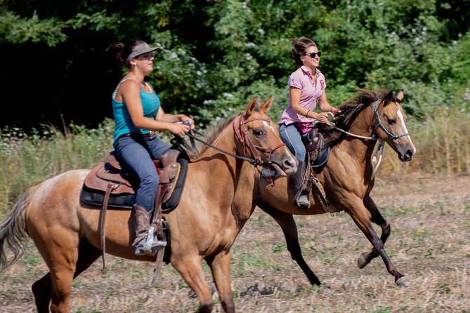 Private Tuscany Horseback Ride - Key Points