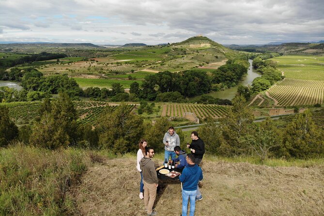 Private Vineyards Tour in San Vicente De La Sonsierra - Key Points