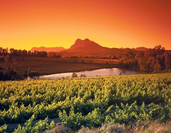 Private Visit to Stellenbosch Franschoek Paarl From Cape Town F/D - Key Points