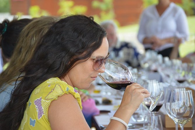 Private Wine Tours by Wine Explorers Uruguay - Key Points