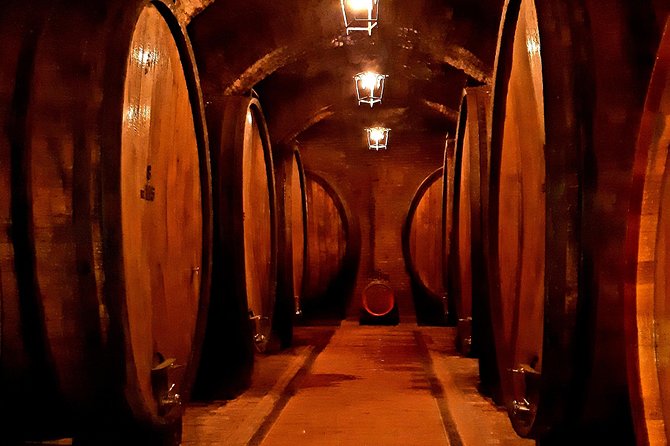 Private Winery Tour of Montepulciano, Pienza & Montalcino  - Arezzo - Tour Highlights