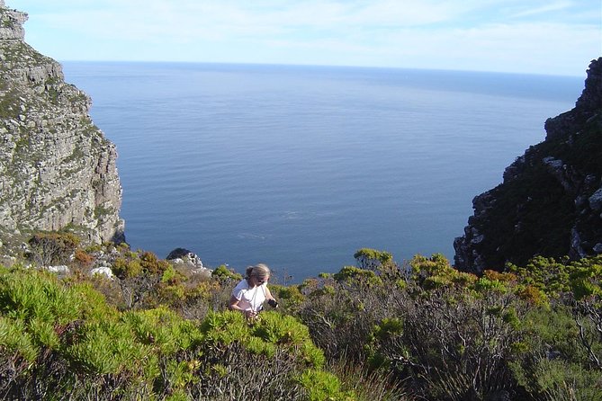 Privately Guided Table Mountain Hike - Key Points