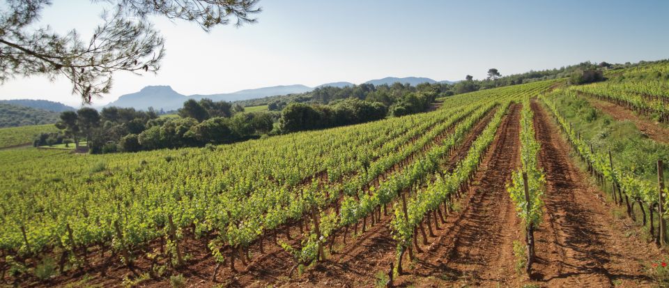 Provence Wine Tour - Small Group Tour From Cannes - Key Points