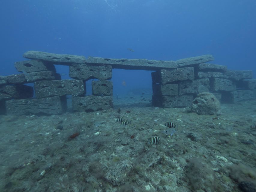 Puerto De Mogán: Submarine Tour - Key Points