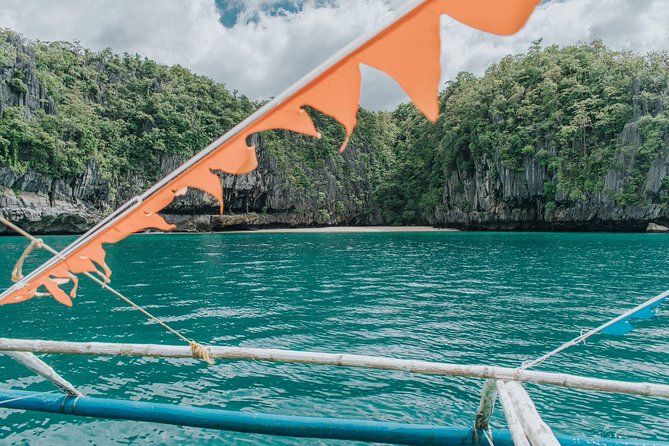 Puerto Princesa 3-in-1 River, Zipline, and Mangroves  - Palawan - Tour Details