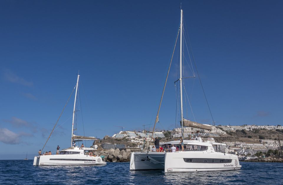 Puerto Rico De Gran Canaria: Private Catamaran Charter - Key Points