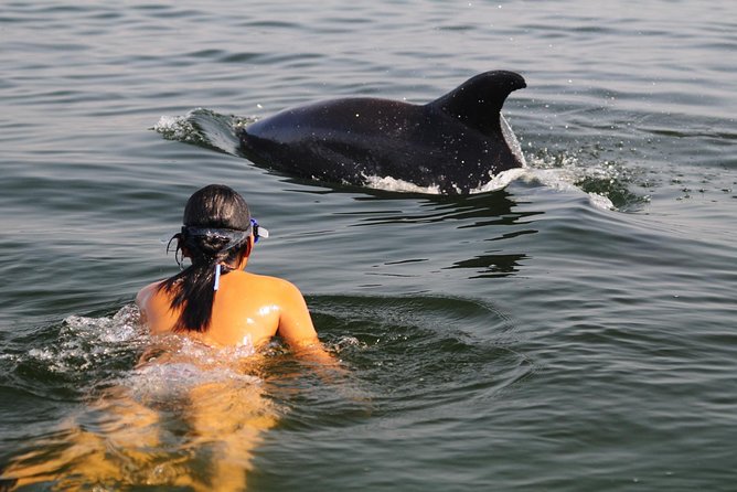 Puerto Vallarta Wildlife Boat Tour - Key Points