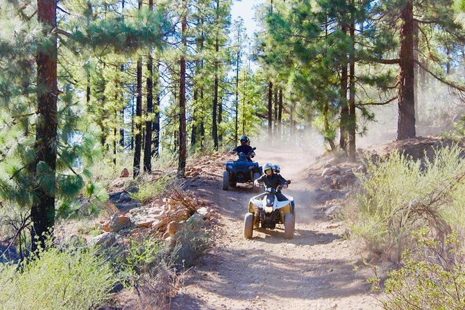 Quad Bike Tour Off-Road Adventure in Teide National Park - Key Points