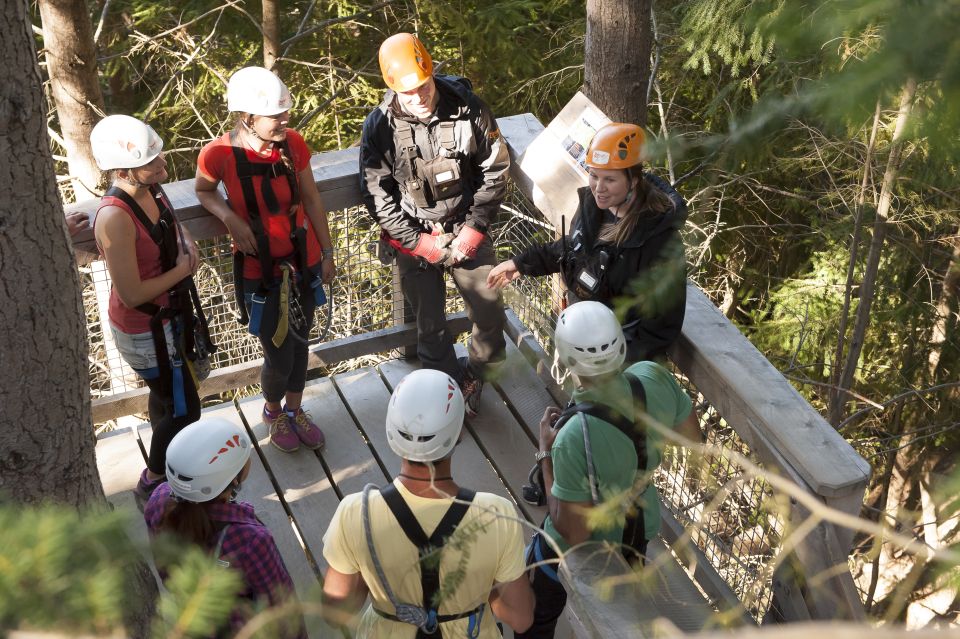 Queenstown: 3-Hour Zipline Adventure With 6-Lines - Key Points