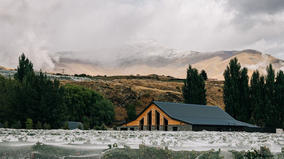 Queenstown: Classic Central Otago Wine Tasting Experience - Key Points