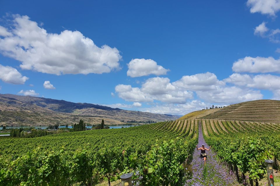 Queenstown: Full-Day Central Otago Food & Wine Tour - Key Points