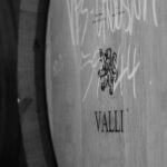 queenstown valli wine tasting experience Queenstown: Valli Wine Tasting Experience