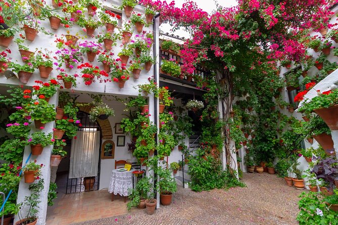 Queue-Free Entrance to PATIOS De Córdoba - Key Points