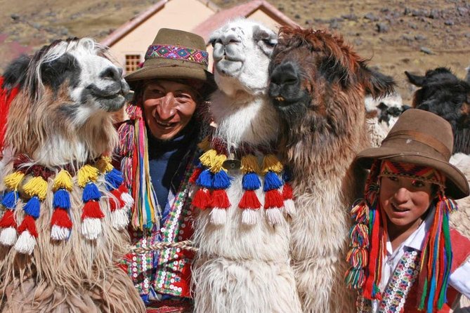 Rainbow Mountain Full Day Tour From Cusco Thru Pitumarca - Itinerary Details