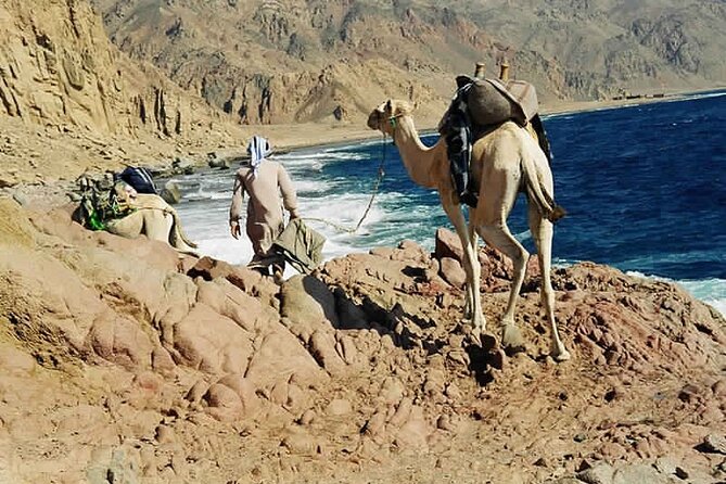 Ras Abu Gallum & Blue Hole Snorkel Safari by Jeep and Camel - Itinerary Overview