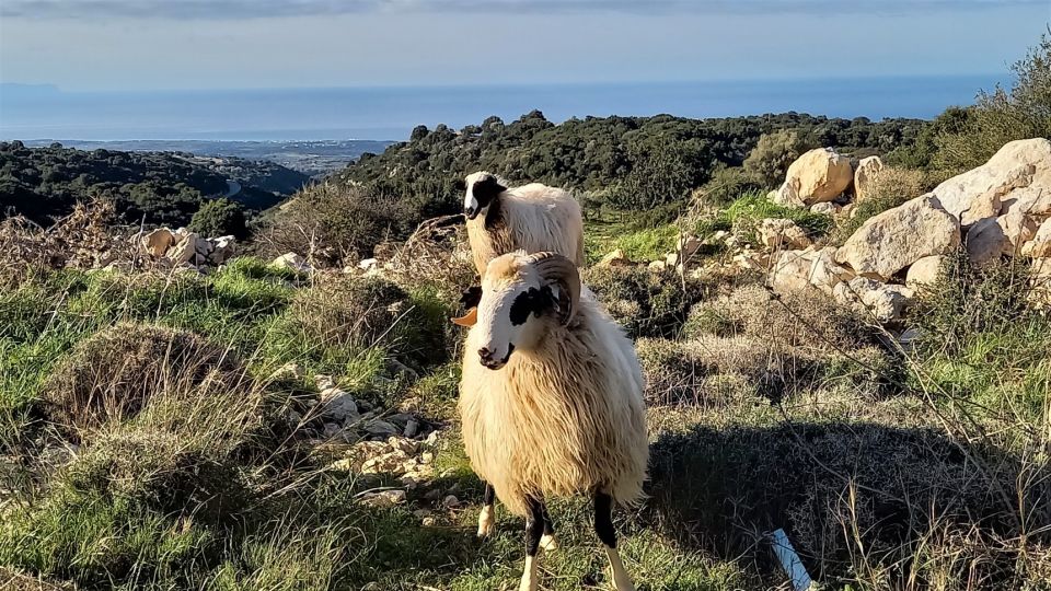 Rethymno: Shepherds Path Hike From Maroulas Village - Location and Provider
