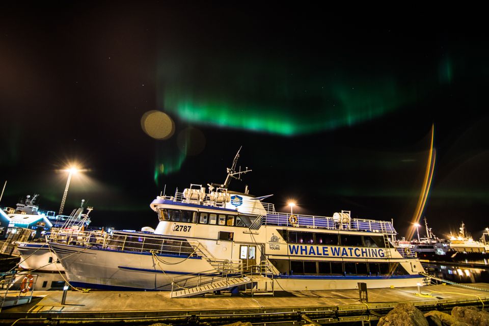 Reykjavik: 2-Hour Northern Lights by Boat With Backup Plan - Key Points