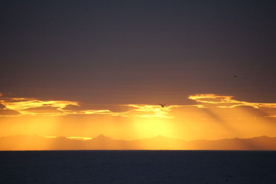 reykjavik midnight sun whale watching cruise Reykjavík: Midnight Sun Whale Watching Cruise