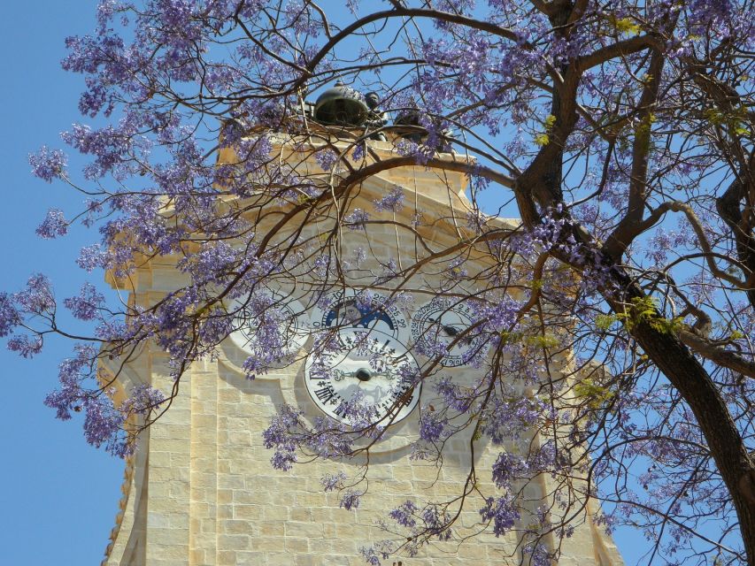 Rhodes: Old Town Private Walking Tour With an Expert Guide - Tour Location and Duration