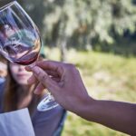 ribera del duero red wine discovery tour with tastings Ribera Del Duero: Red Wine Discovery Tour With Tastings